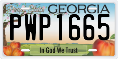 GA license plate PWP1665