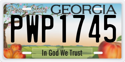 GA license plate PWP1745