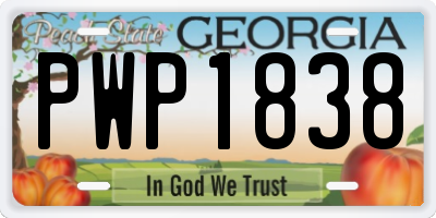 GA license plate PWP1838