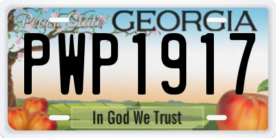 GA license plate PWP1917