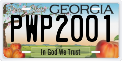 GA license plate PWP2001