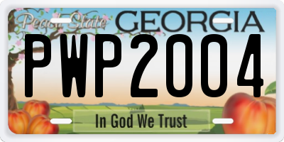 GA license plate PWP2004