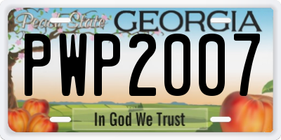 GA license plate PWP2007
