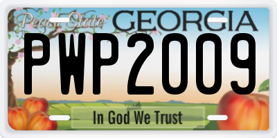 GA license plate PWP2009