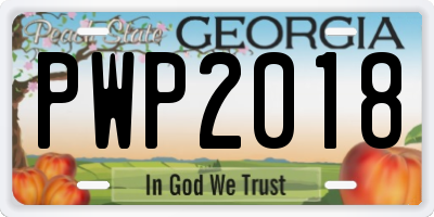 GA license plate PWP2018