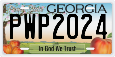 GA license plate PWP2024