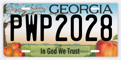 GA license plate PWP2028