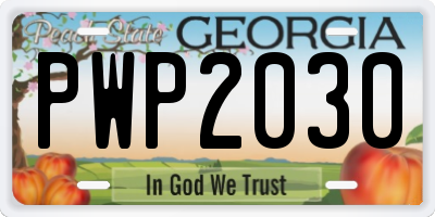 GA license plate PWP2030
