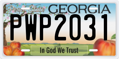 GA license plate PWP2031