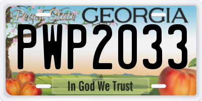 GA license plate PWP2033
