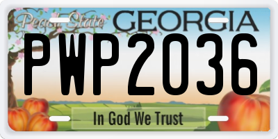 GA license plate PWP2036