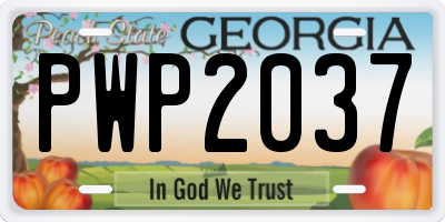 GA license plate PWP2037