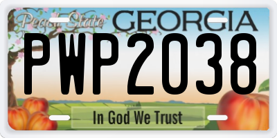 GA license plate PWP2038