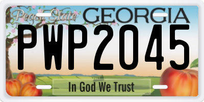 GA license plate PWP2045