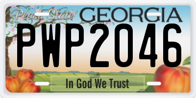 GA license plate PWP2046