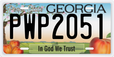 GA license plate PWP2051