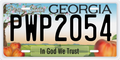 GA license plate PWP2054