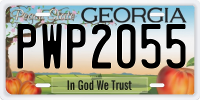 GA license plate PWP2055