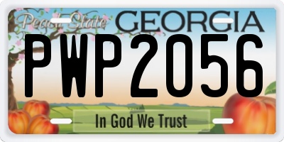 GA license plate PWP2056