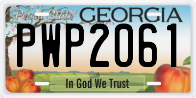 GA license plate PWP2061