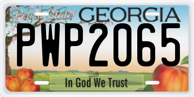 GA license plate PWP2065