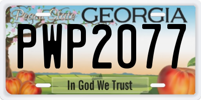 GA license plate PWP2077