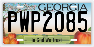 GA license plate PWP2085