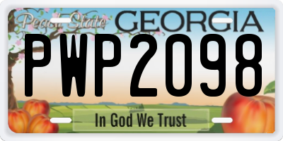 GA license plate PWP2098