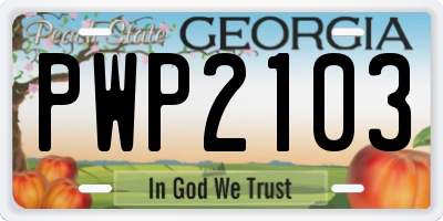 GA license plate PWP2103