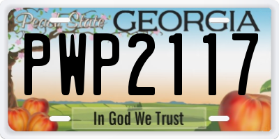 GA license plate PWP2117