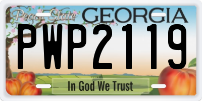 GA license plate PWP2119