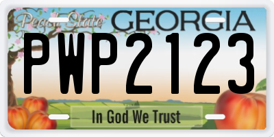 GA license plate PWP2123