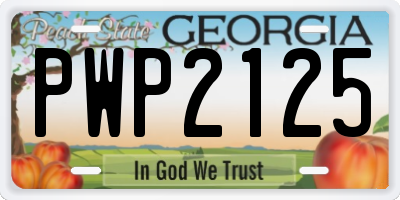 GA license plate PWP2125