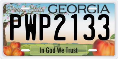 GA license plate PWP2133