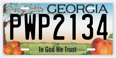 GA license plate PWP2134