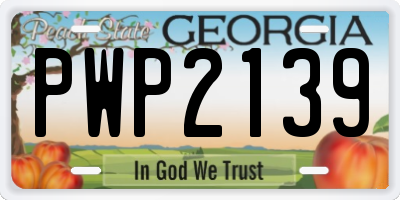 GA license plate PWP2139