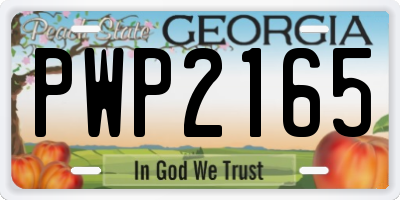GA license plate PWP2165
