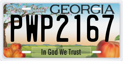 GA license plate PWP2167