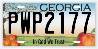 GA license plate PWP2177