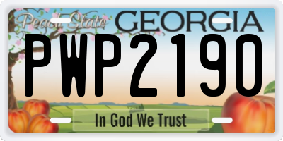 GA license plate PWP2190