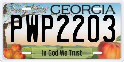 GA license plate PWP2203