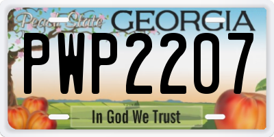 GA license plate PWP2207