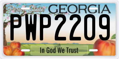 GA license plate PWP2209