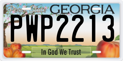 GA license plate PWP2213