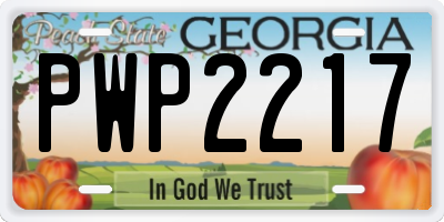 GA license plate PWP2217