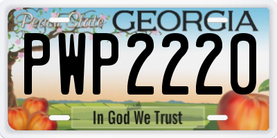 GA license plate PWP2220