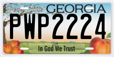 GA license plate PWP2224