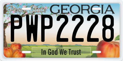 GA license plate PWP2228