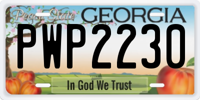 GA license plate PWP2230