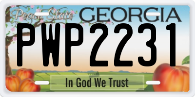 GA license plate PWP2231